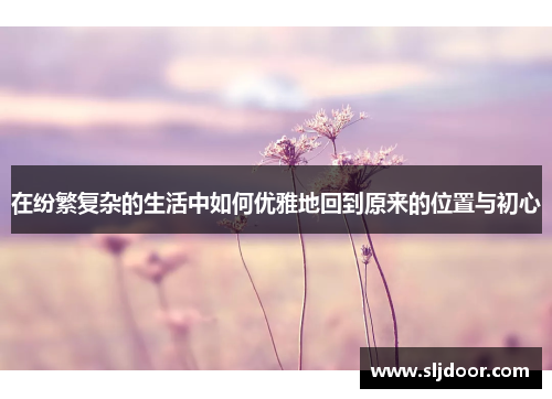 在纷繁复杂的生活中如何优雅地回到原来的位置与初心