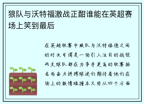 狼队与沃特福激战正酣谁能在英超赛场上笑到最后
